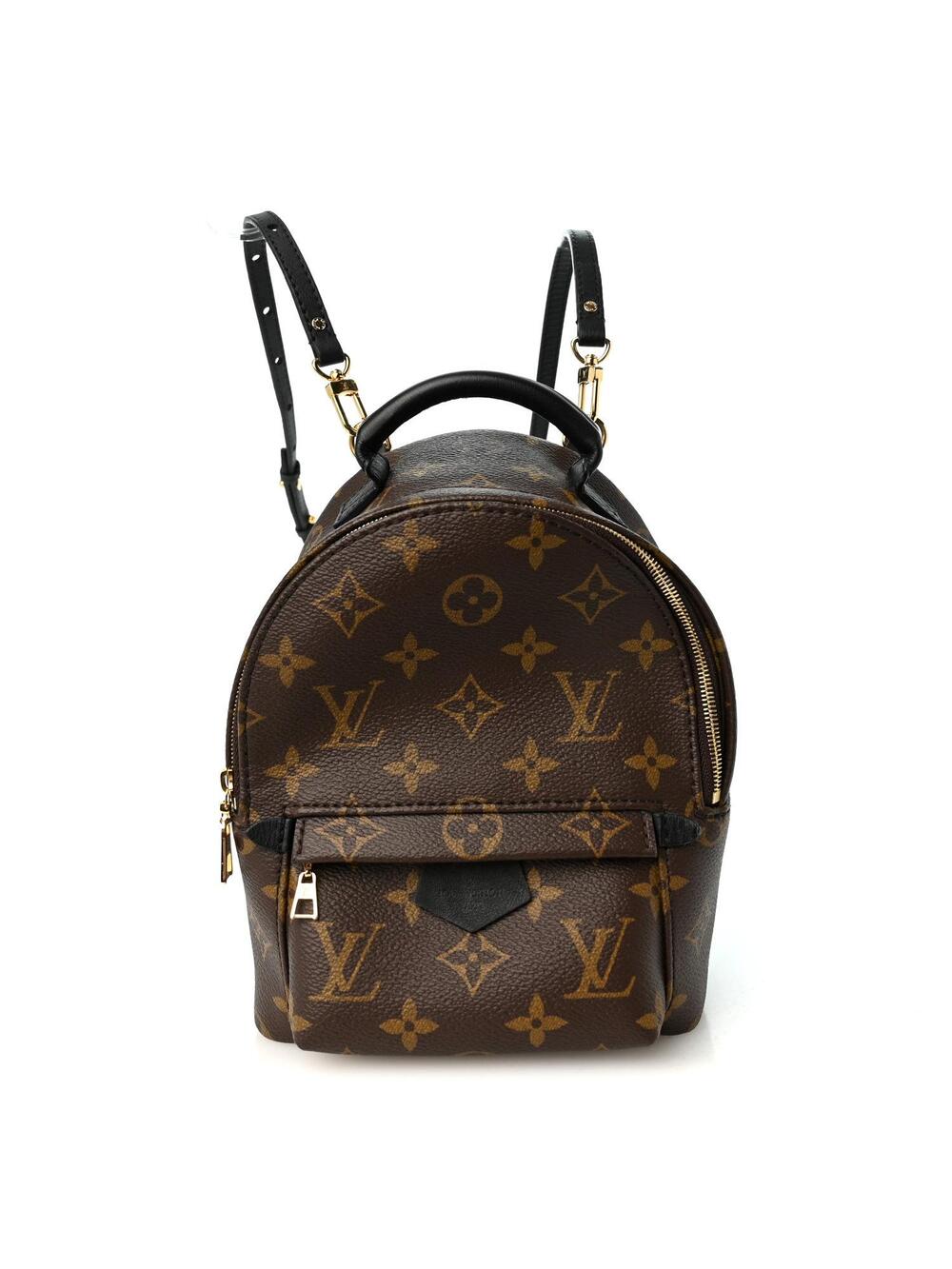 Louis Vuitton Palm Springs Backpack #372471L16B